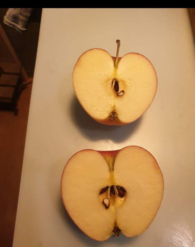 Apfel, halbiert