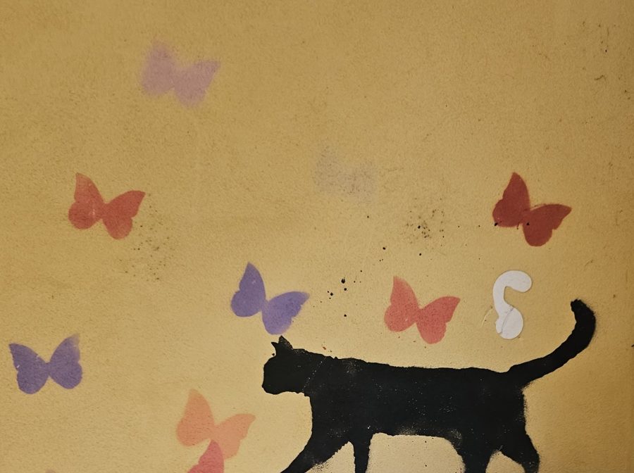 Katze und Schmetterlinge