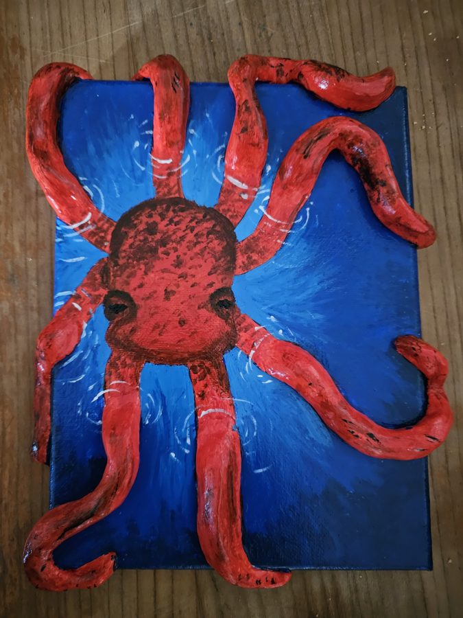 Oktopus, Relief