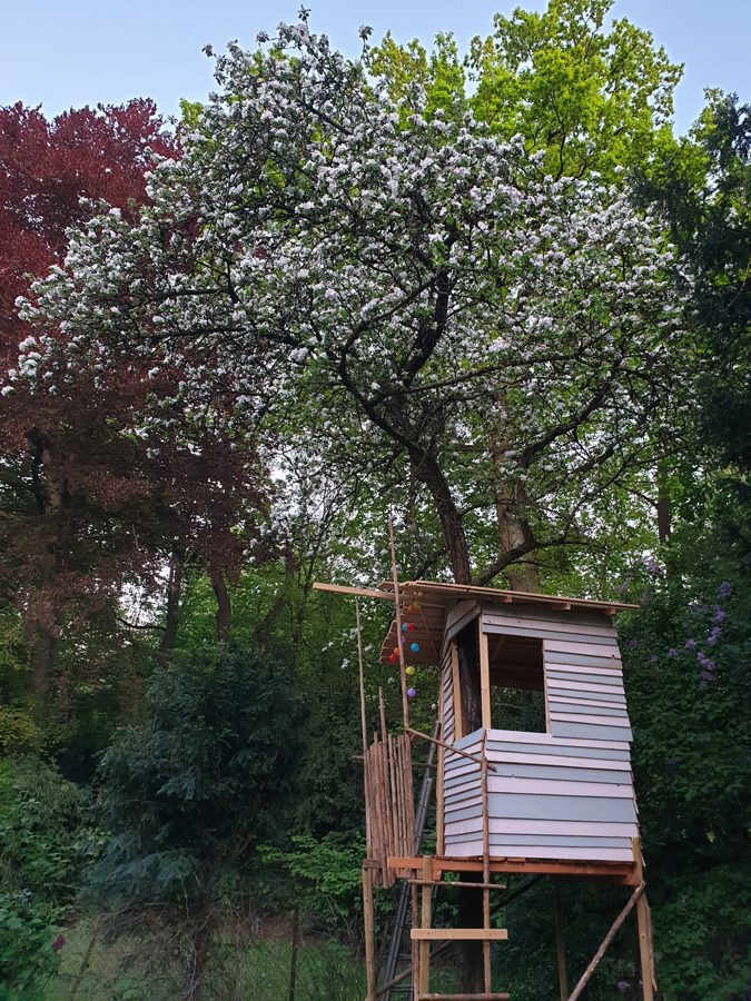 Baumhaus unter Apfelblüte